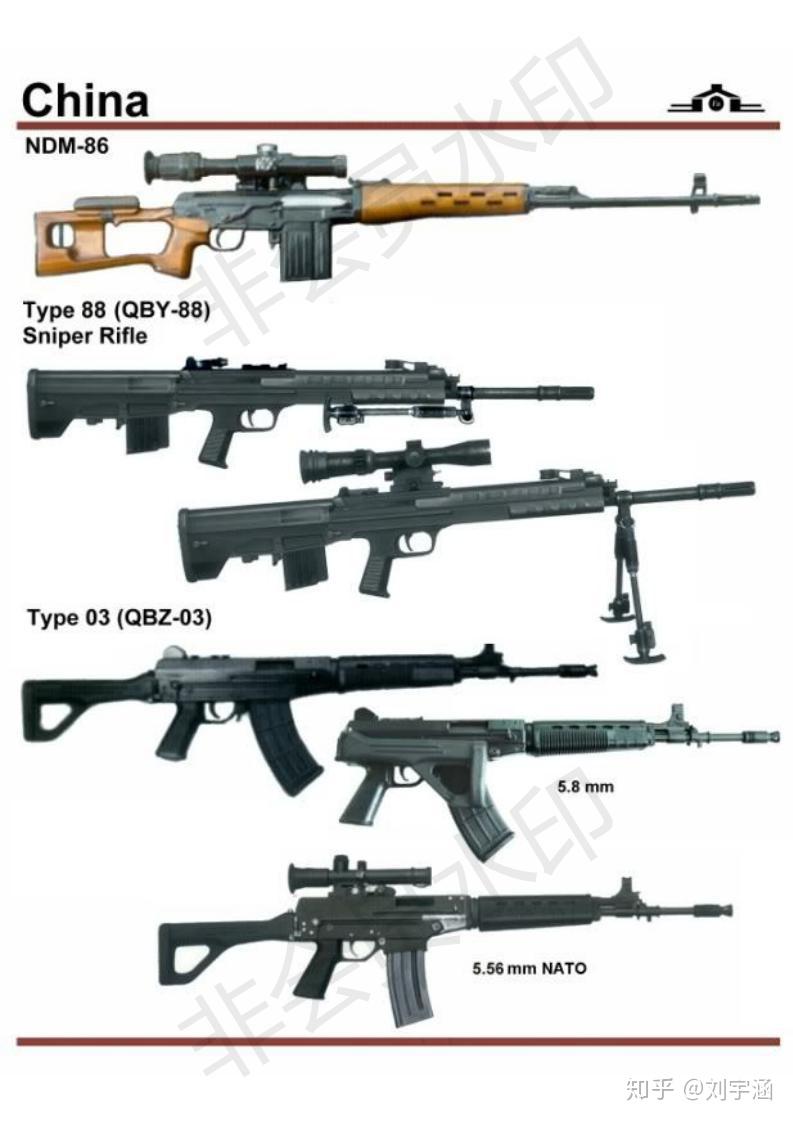 中国枪的种类名称图片图片