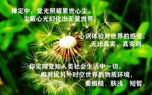 一一毛端悉能容受一切世界而无障碍