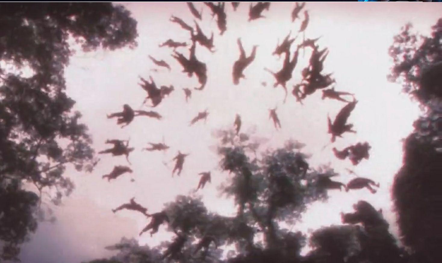 有哪些猎奇电影或动漫?最好是揭示道理的,或者