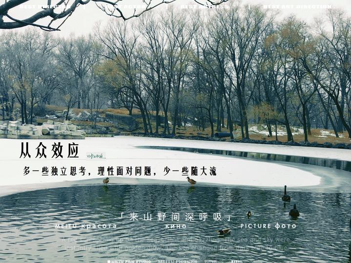 从众效应 羊群效应—随大流到底对不对? - 知乎