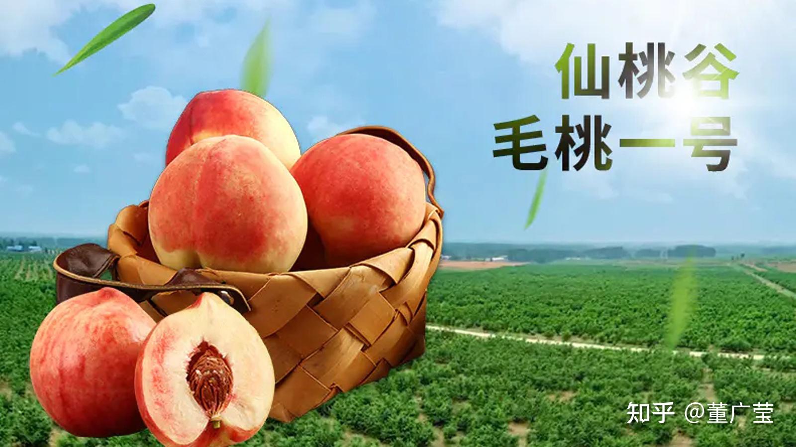 桃籽儿 的专栏:桃籽儿抱个大桃子_晋江文学城|晋江原创网