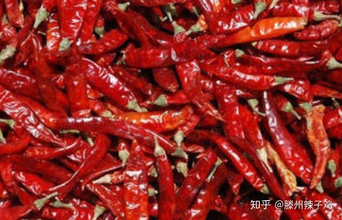 了解一下滕州辣子鸡所用的几种辣椒
