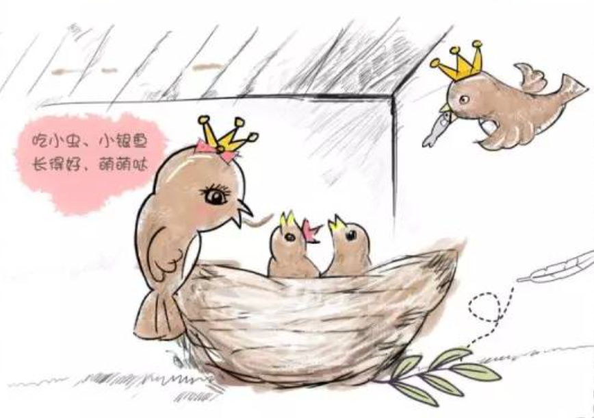 你吃了燕子的家吃燕窝究竟有多残忍