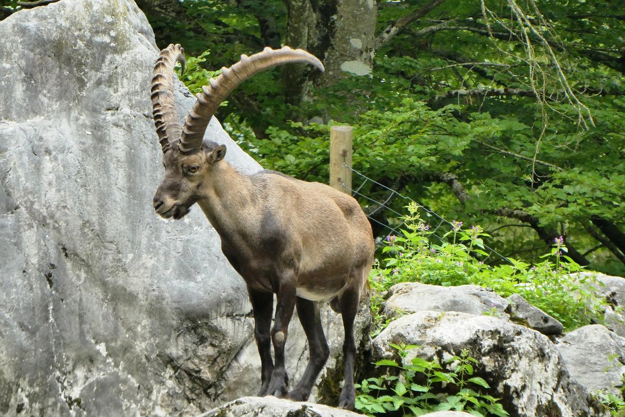 2. 摩羯男配天蝎女