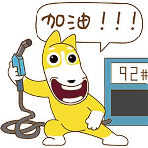 动图封面