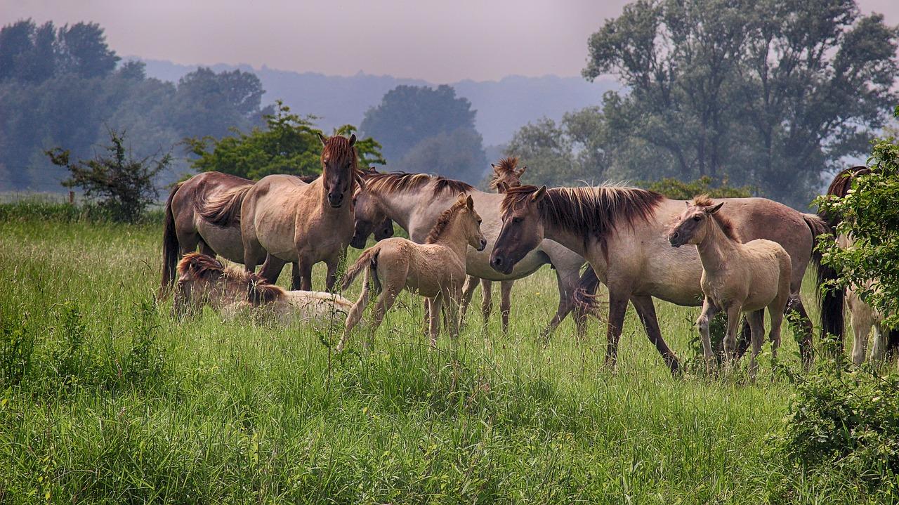 3. 兰考文体路周边