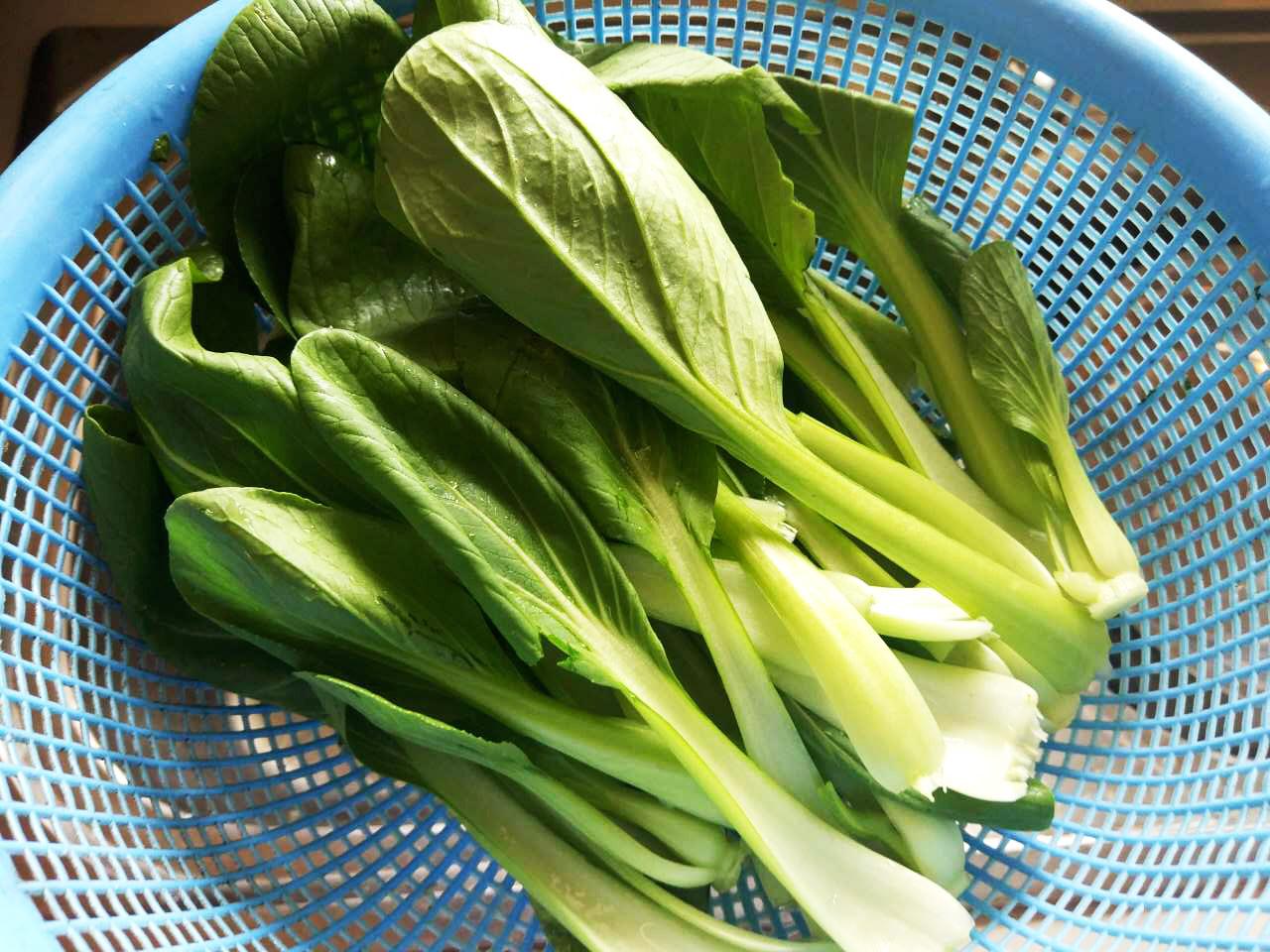 绿色蔬菜——芹菜_图片_互动百科