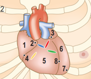 执业医师考试：体格检查-心脏查体系列 - 知乎
