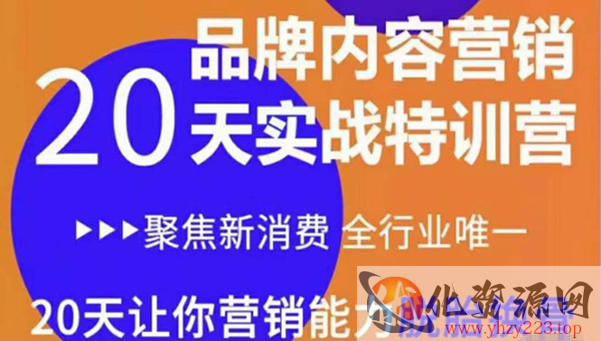 《内容营销实操特训营》20天让你营销能力脱胎换骨（价值3999）插图