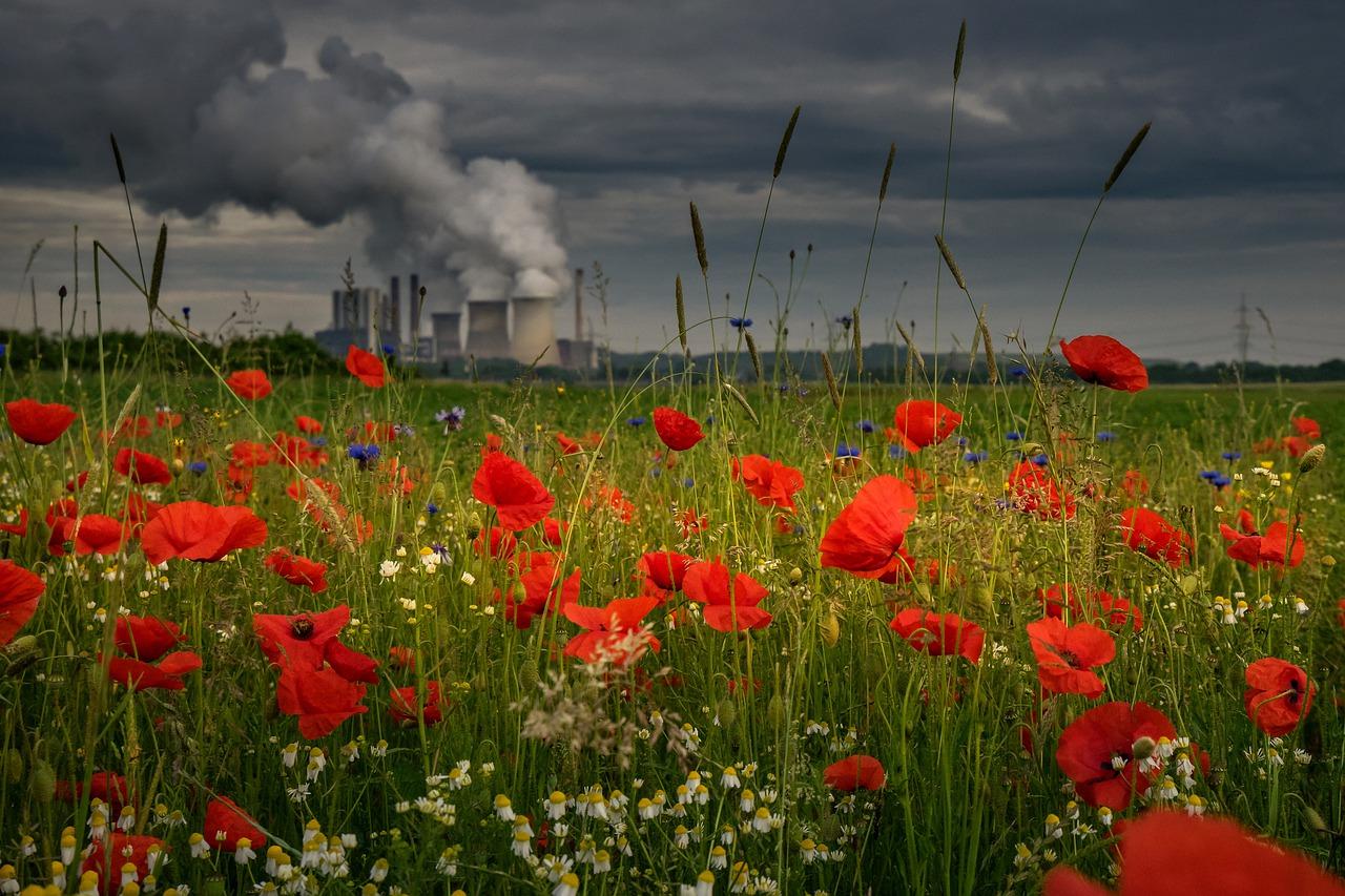 4. 清洁效果评估