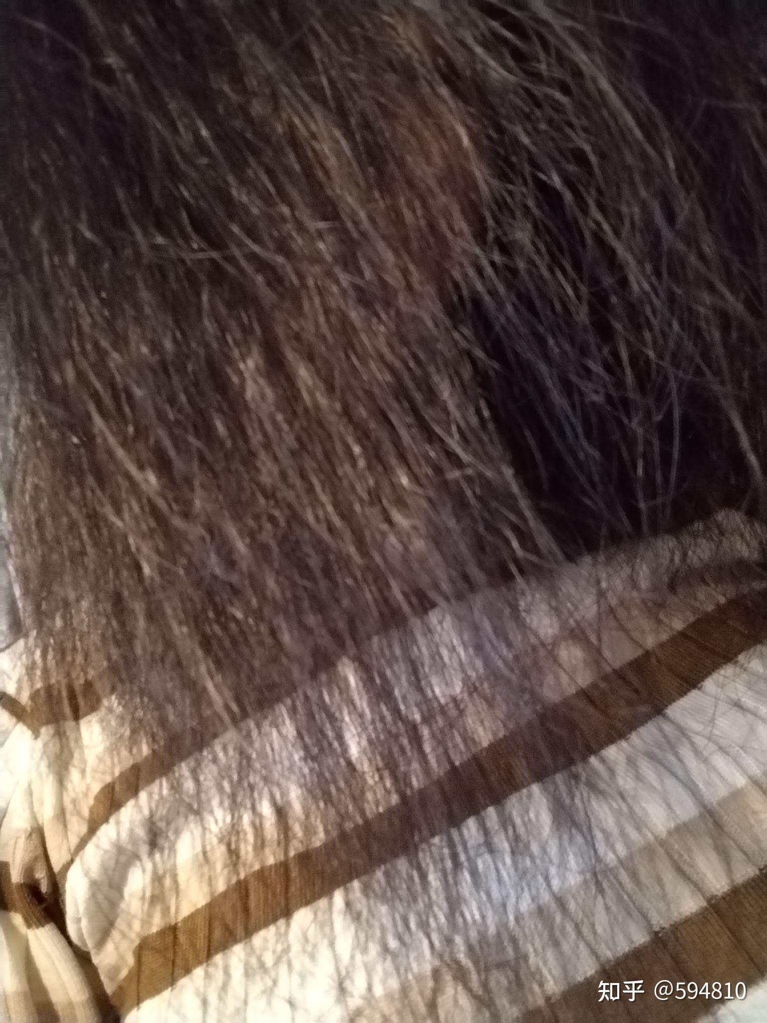 发质差到爆是什么样的体验? - 知乎