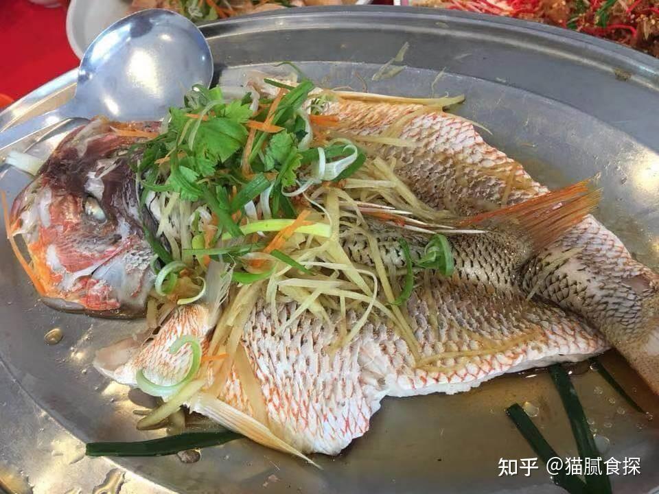 这才是吃鱼的正确方式太全了从选材到烹饪一应俱全
