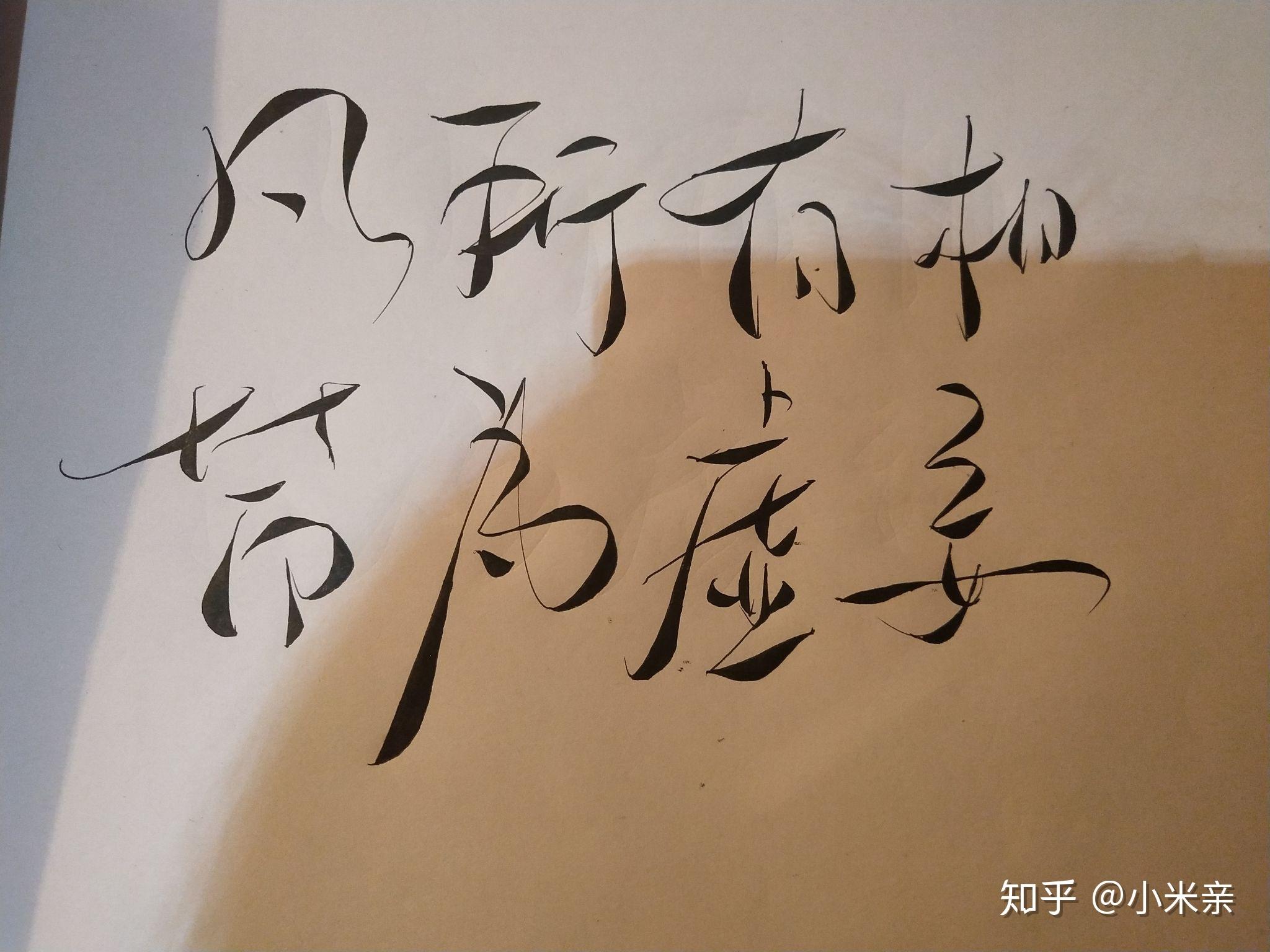 凡所有相,皆为虚妄的菊花体怎么写? - 知乎