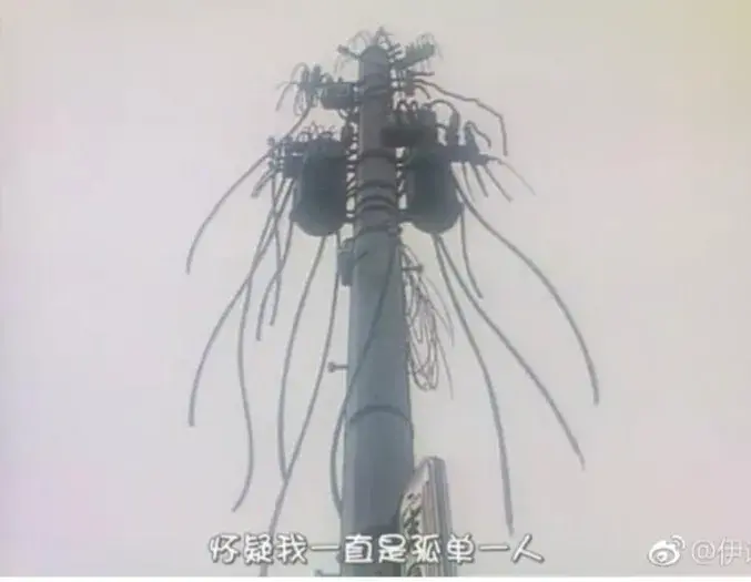 病因:电线杆和高压电线塔都是庵野秀明很喜欢使用的视觉元素,除了eva