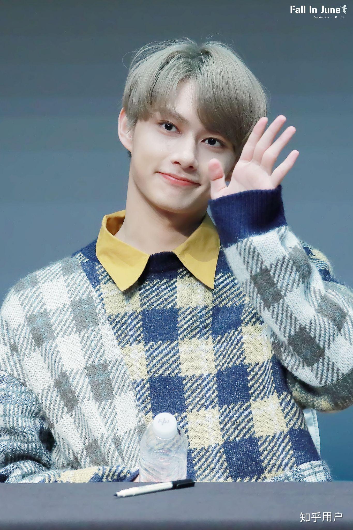 如何对seventeen成员文俊辉尹净汉的外貌进行分析