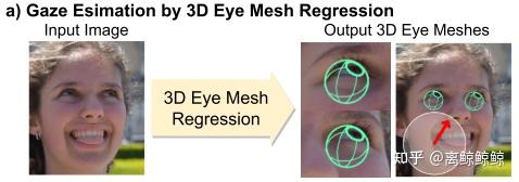 论文笔记 | 3DGazeNet: Generalizing 3D Gaze Estimation with Weak-Supervision ...