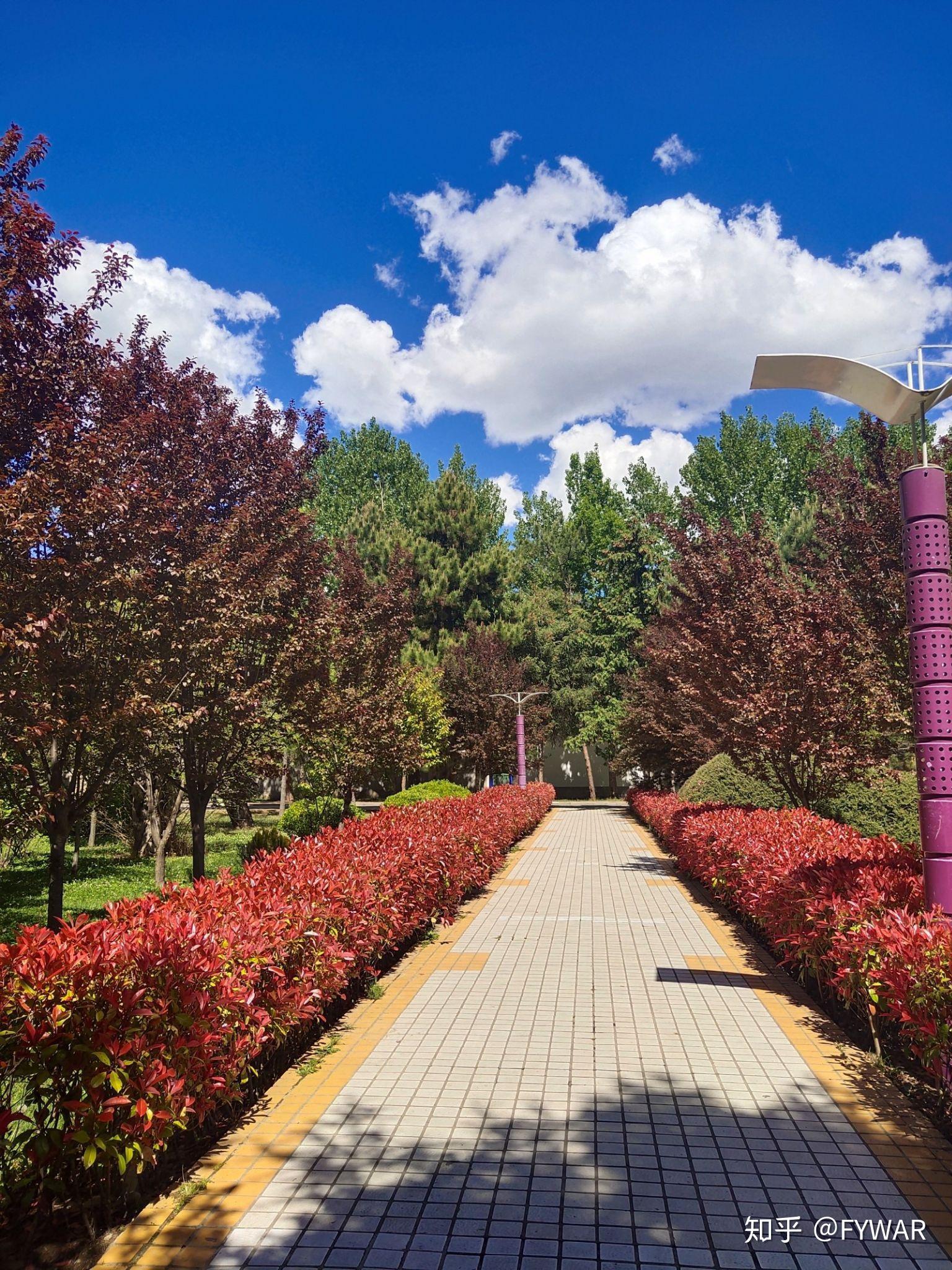 详细的招生计划在这里哟https://mp.weixin.qq.