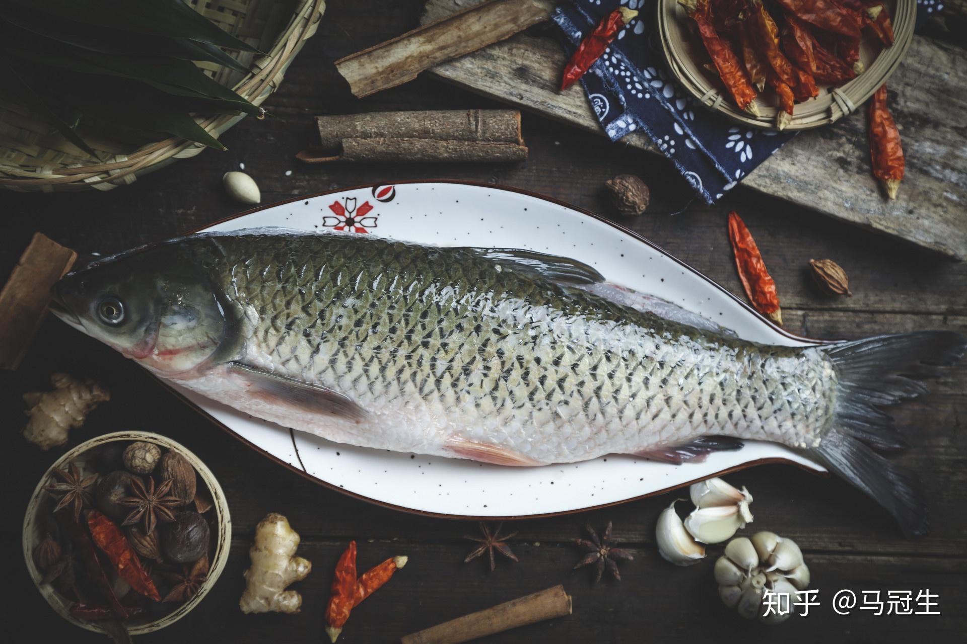 如何区分我们日常生活中吃的最多的鱼（如草鱼、鲮鱼、鲫鱼 、鲩鱼等）的种类？ - 知乎