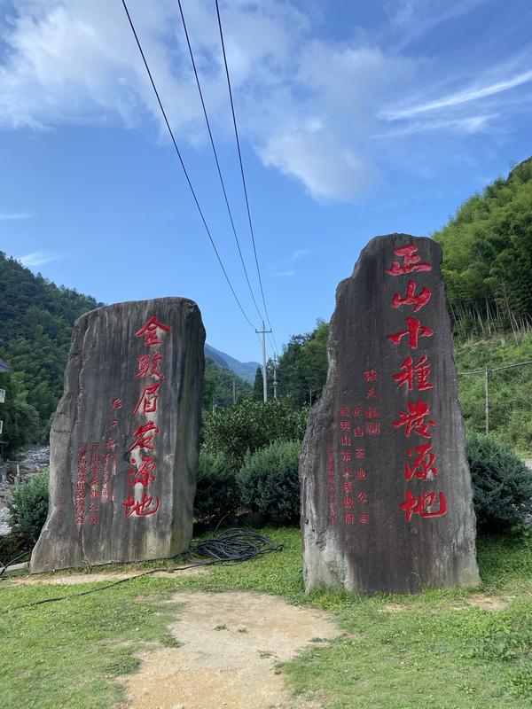 为什么红茶源于武夷山桐木关? - 知乎