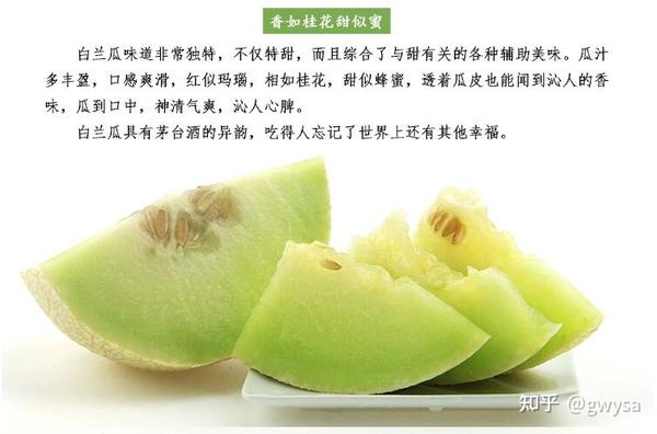 来兰州不得不吃的特产——白兰瓜 - 知乎