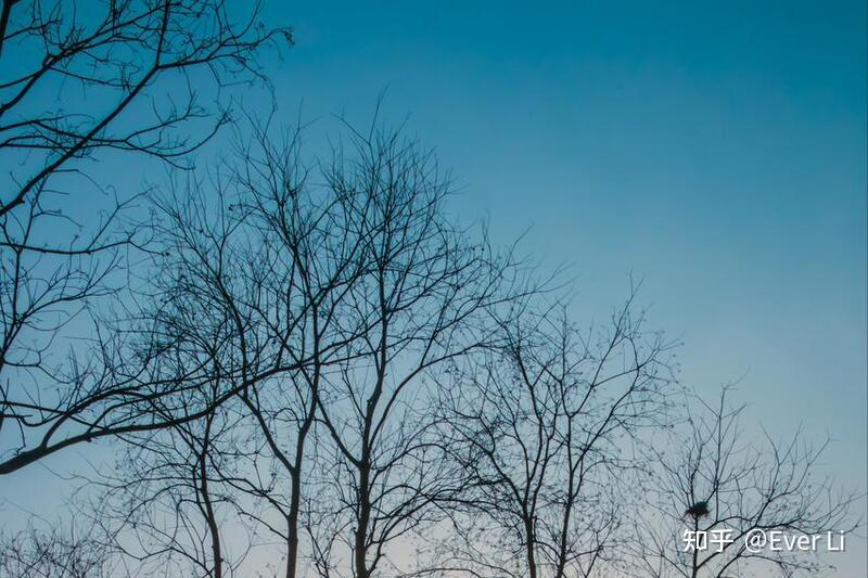 霉绿斑斓人间处处铜香炉第一炉香色彩分析之绿