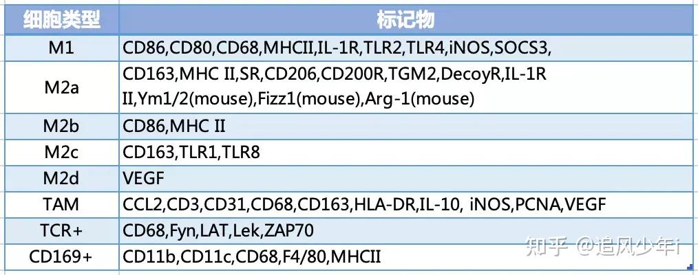 tox 和 entpd1(編碼 cd39)是兩種在腫瘤特異性 t 細胞中上調的耗竭