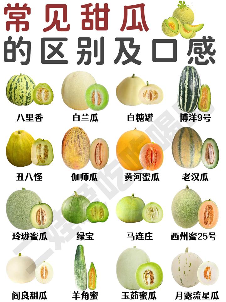 16种常见甜瓜品种区别及口感丨一次性讲清楚 - 知乎