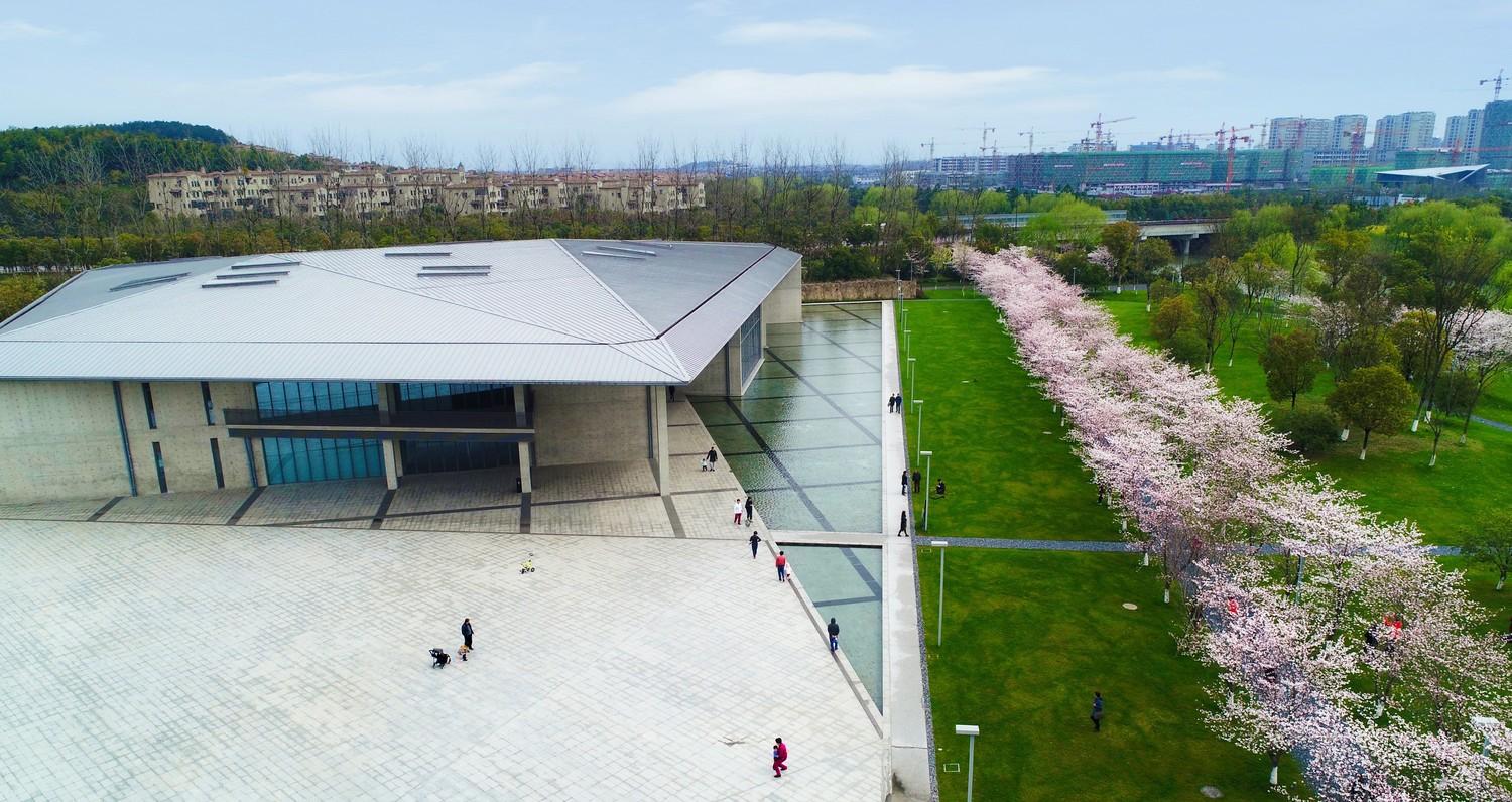 杭州赏花指南,11个宝藏地请收藏! - 知乎