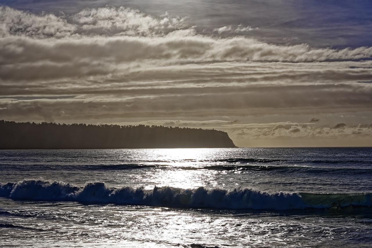 4. 绿化景观评价