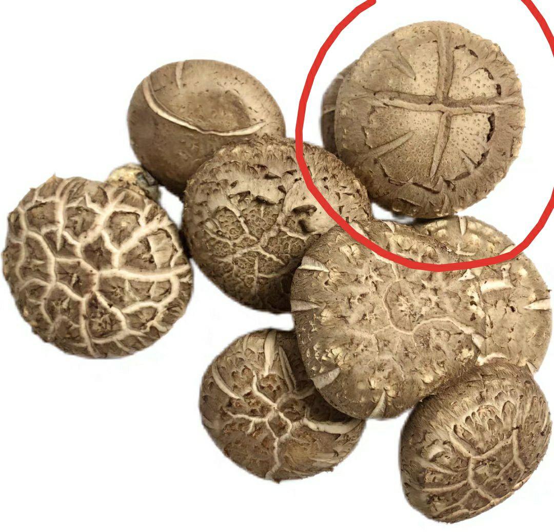 请问在香菇上面改十字刀是仪式感吗?