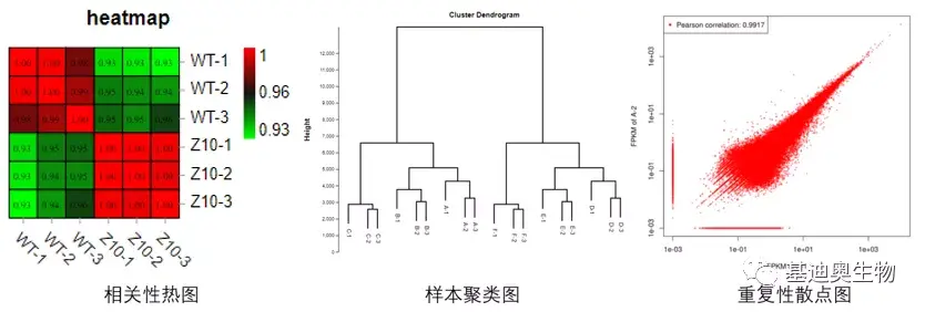 转录组专题|关于样本重复性问题小技巧 - 知乎