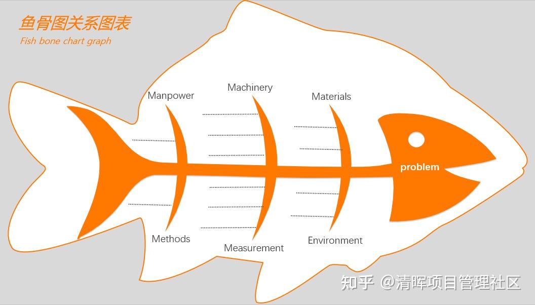 鱼骨解剖图图片