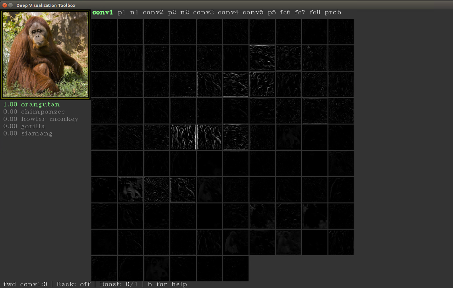 Deep Visualization:可视化并理解CNN - 知乎