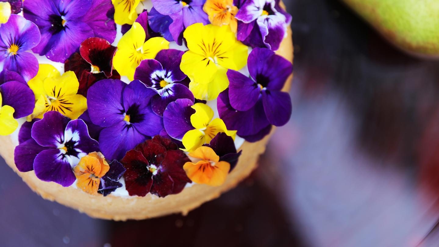 食用花卉食谱 常在西餐料理中出现的美丽角堇到底是何方神圣 知乎