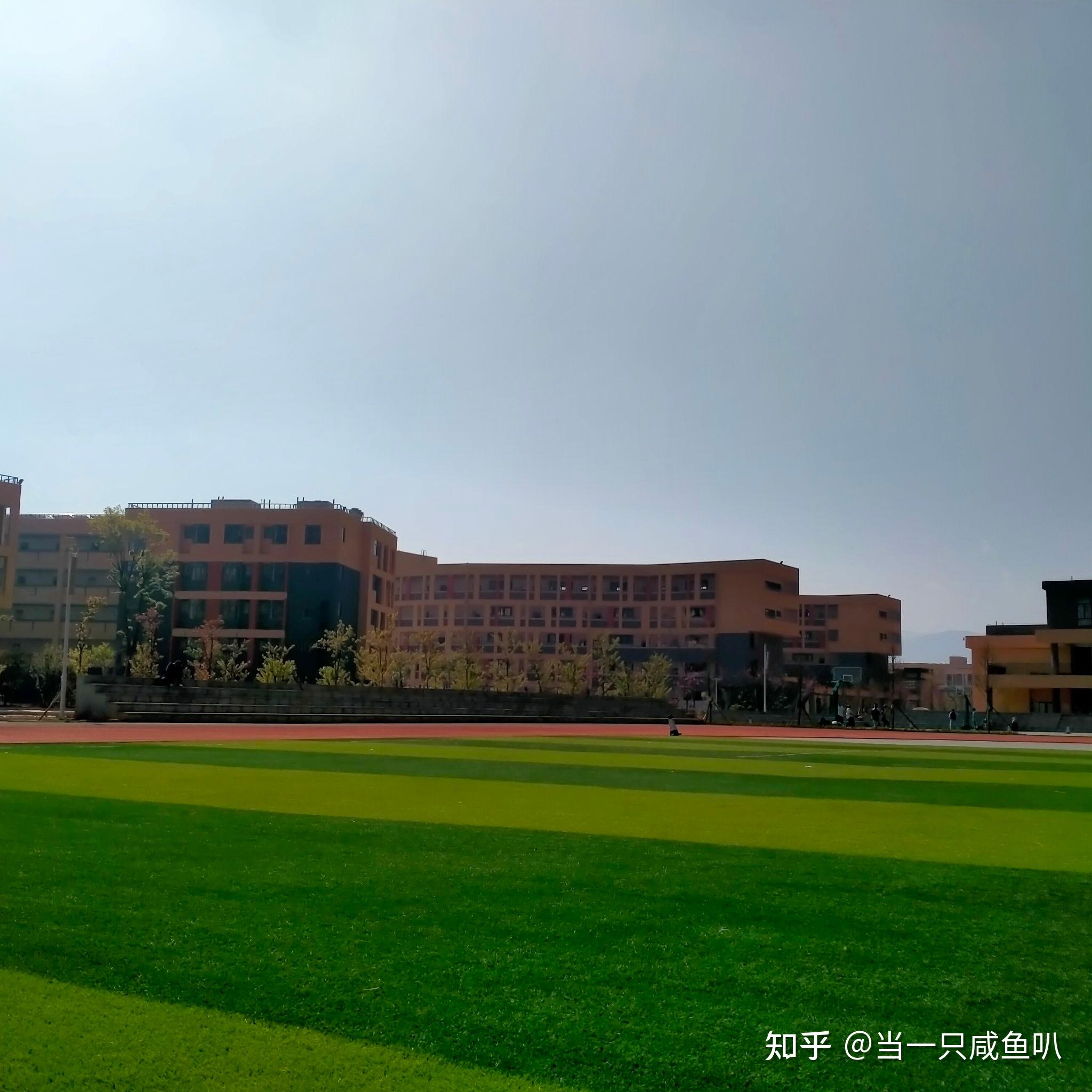 在文渊中学就读是一种怎样的体验?