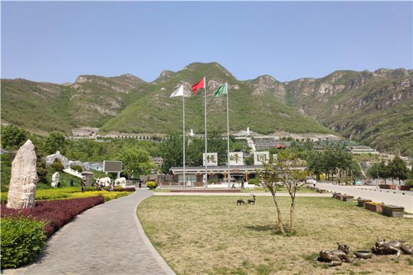 兴寿镇桃峪口村桃峰陵园怎么样咨询联系方式