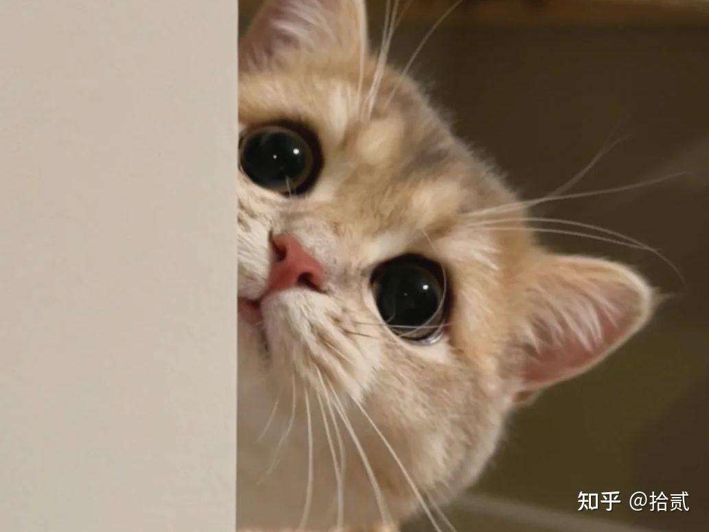 把男友撩到脸红的小情话(最全小情话,建议收藏) - 知乎