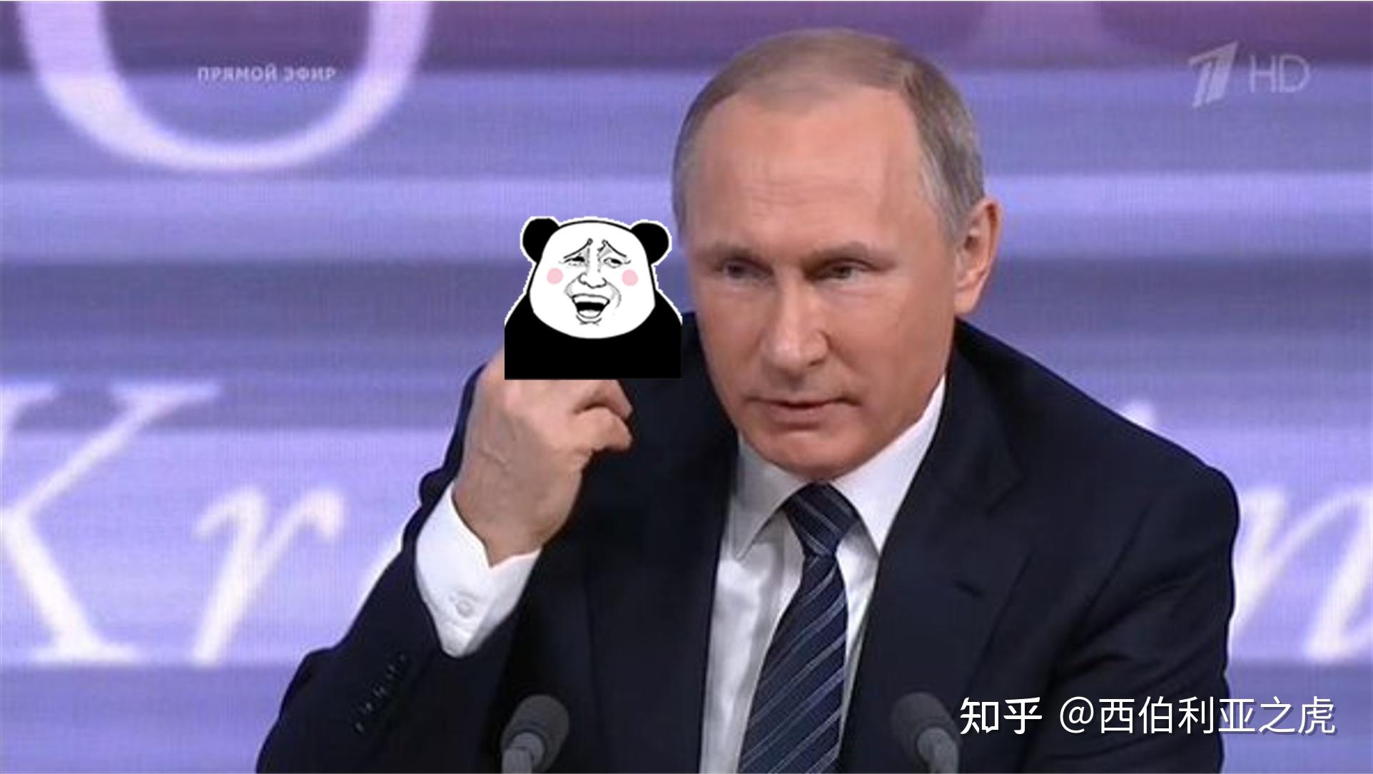 普京：一些国际组织对俄进行恬不知耻的浮夸描述_凤凰网