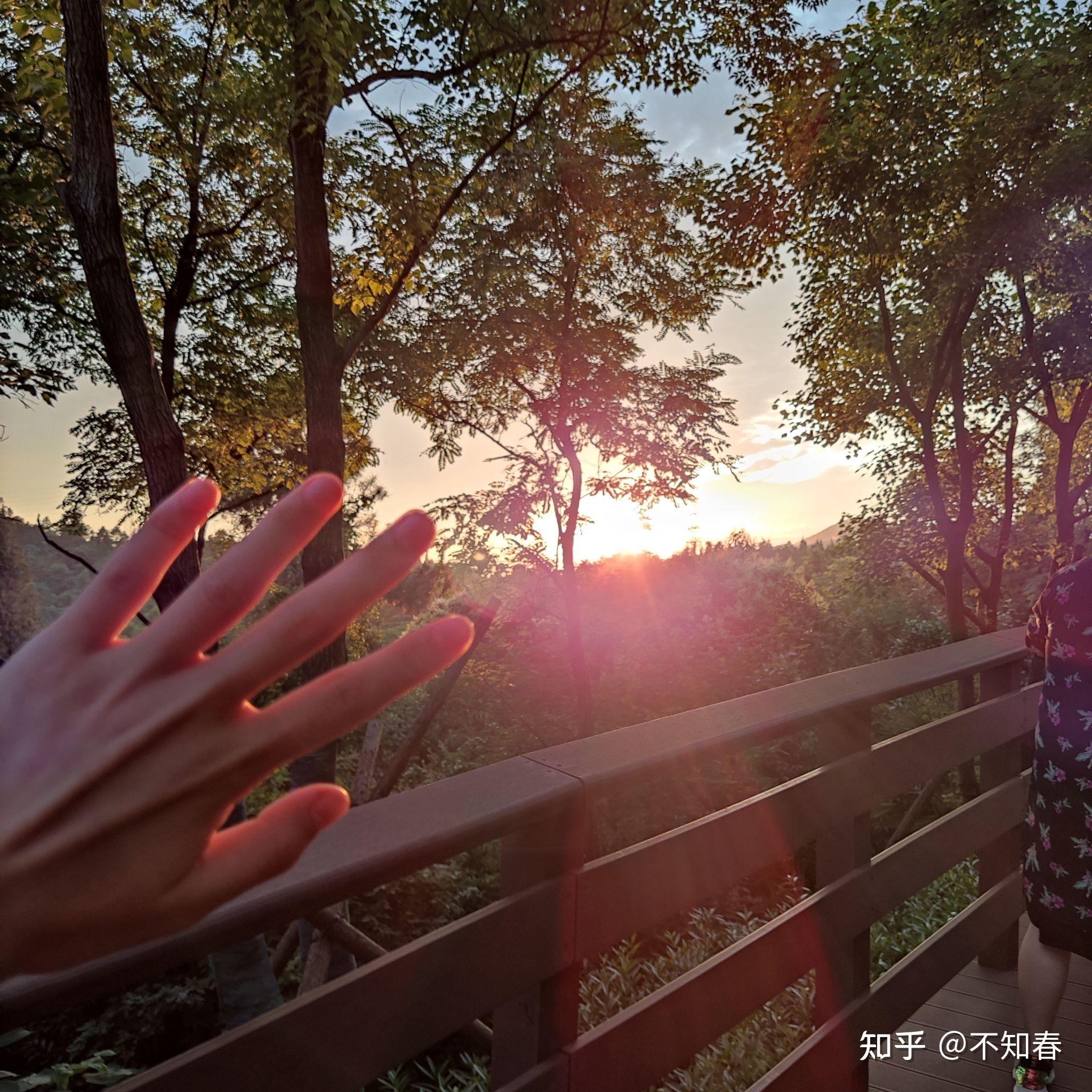 有哪些好看的手和阳光的图片? - 知乎