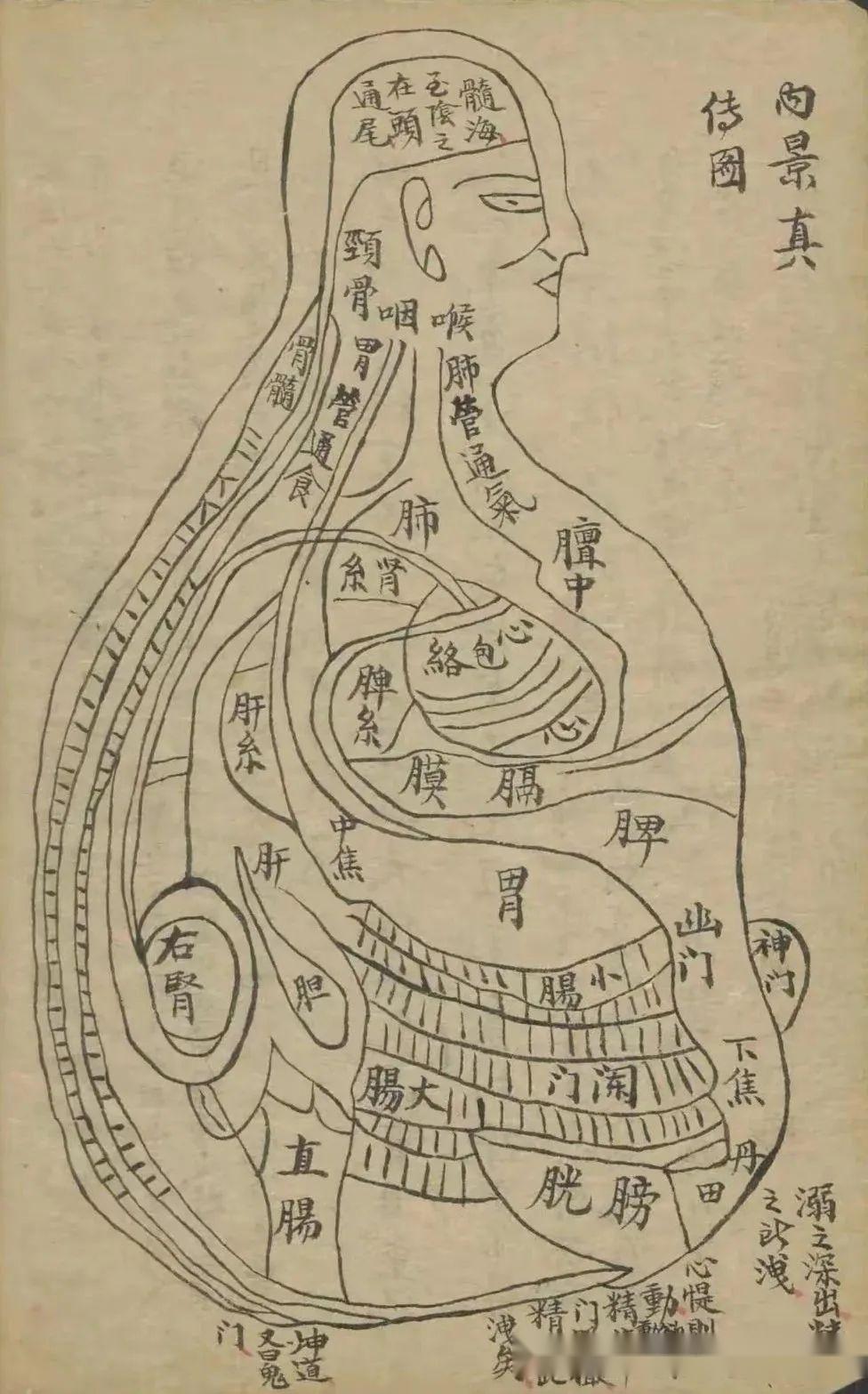 降真香治胃脘古方(三) - 知乎