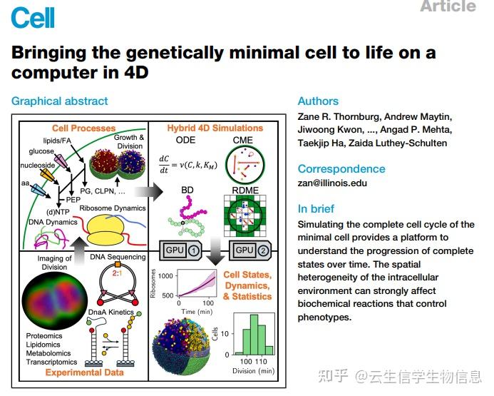 Cell发布4D全细胞模型，揭示细胞生命活动机制 - 知乎