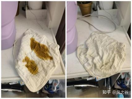 2022年内衣洗衣机测评推荐:大宇内衣洗衣机真实使用体验,内衣裤洗衣机