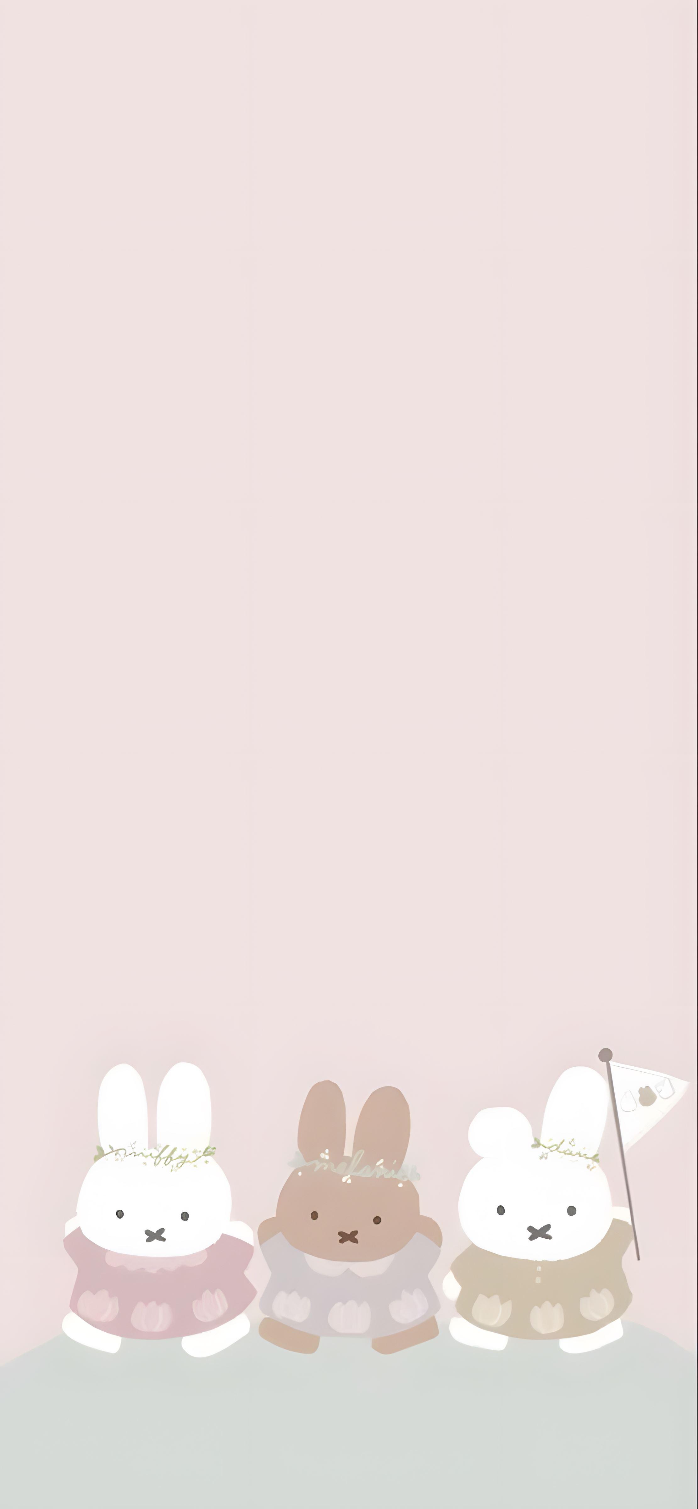 超可爱的米菲兔手机壁纸 栗子猫猫 公众号同名哟~每天更新壁纸每天给