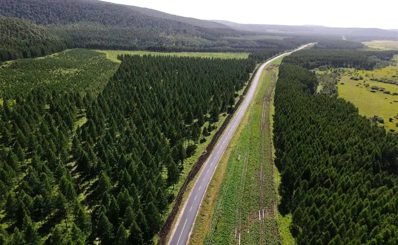 防护林遭破坏,开了口子,会导致沙尘暴被吹进来?