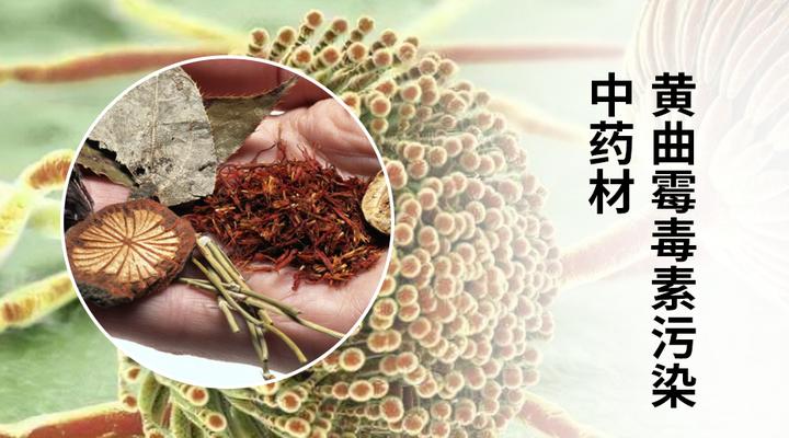预防中药材黄曲霉污染和黄曲霉毒素超标的方法！ - 知乎