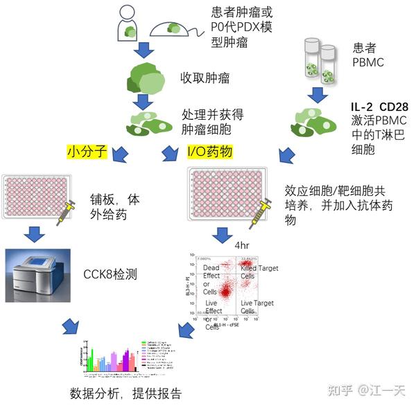 创模生物:PDC体外药效平台 - 知乎