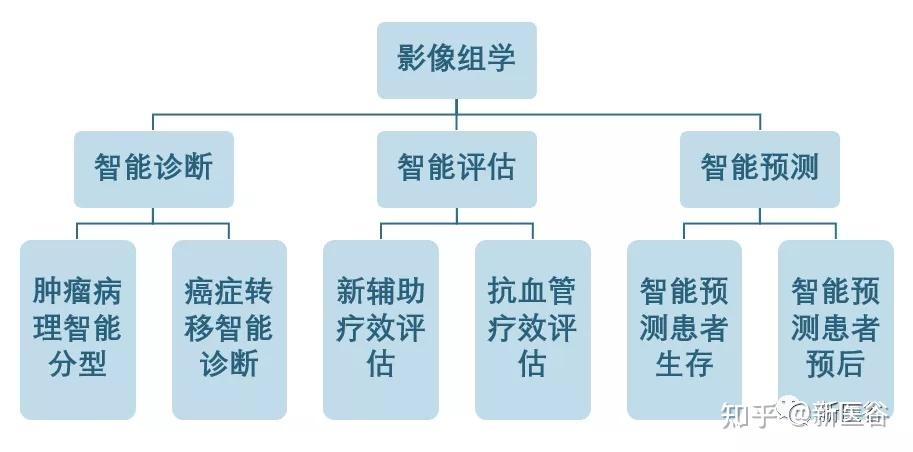 影像时间浅谈影像组学与人工智能