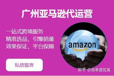 深圳Amazon代营运——地术B2C_chan_(深圳代营运)