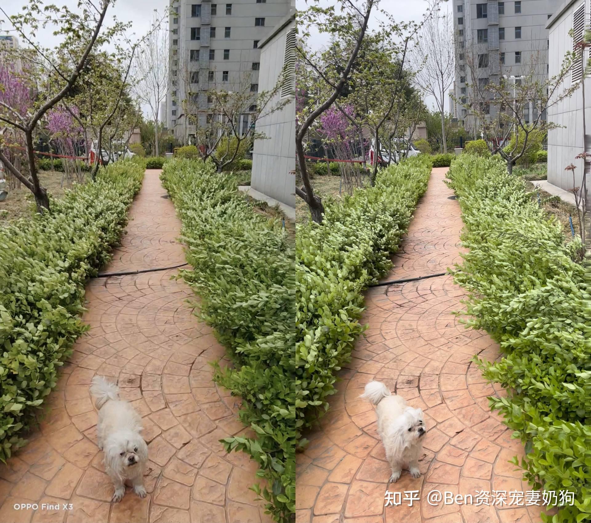 oppofindx3实际体验如何不吹不黑我还对比了iphone12promax