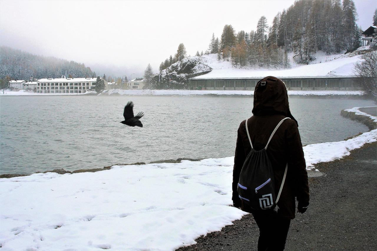 3. 冬季养护技巧